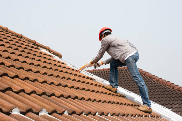 Professional Roofing services in Fredericksburg, TX