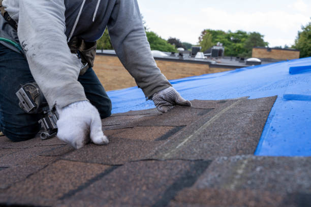 Best Roof Moss and Algae Removal  in Fredericksburg, TX
